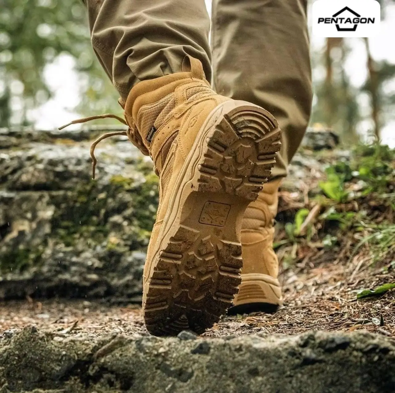 Берці тактичні Pentagon Scorpion V2 Suede 8" Coyote
