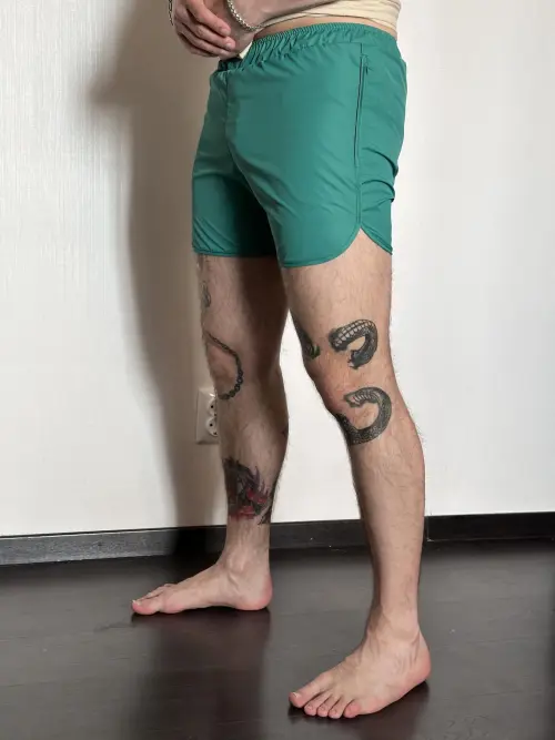 Шорти пляжні чоловічі базові із змійкою Intruder зелені