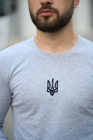 Лонгслів чоловічий "Pulse" Intruder сірий з тризубом