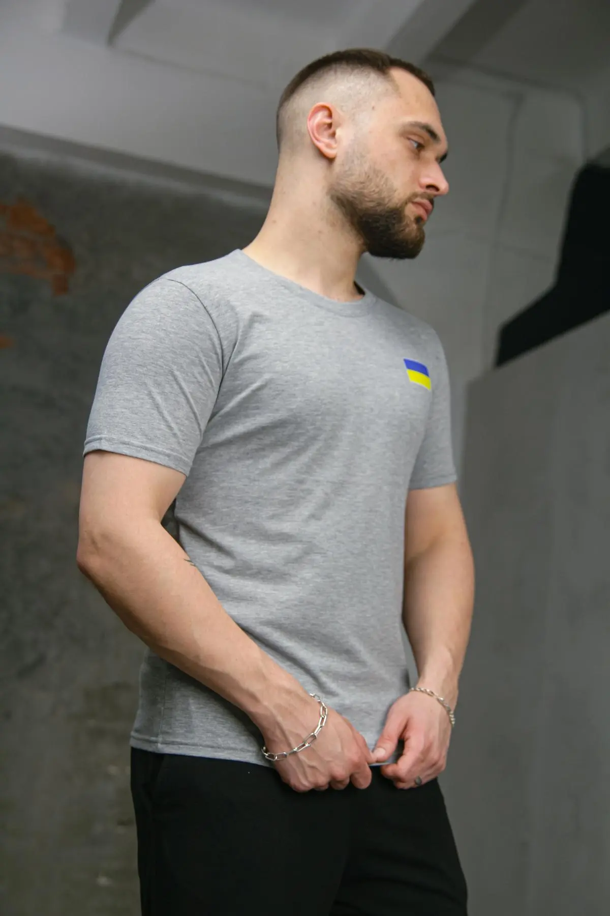 Футболка чоловіча з прапором на грудях Intruder сіра