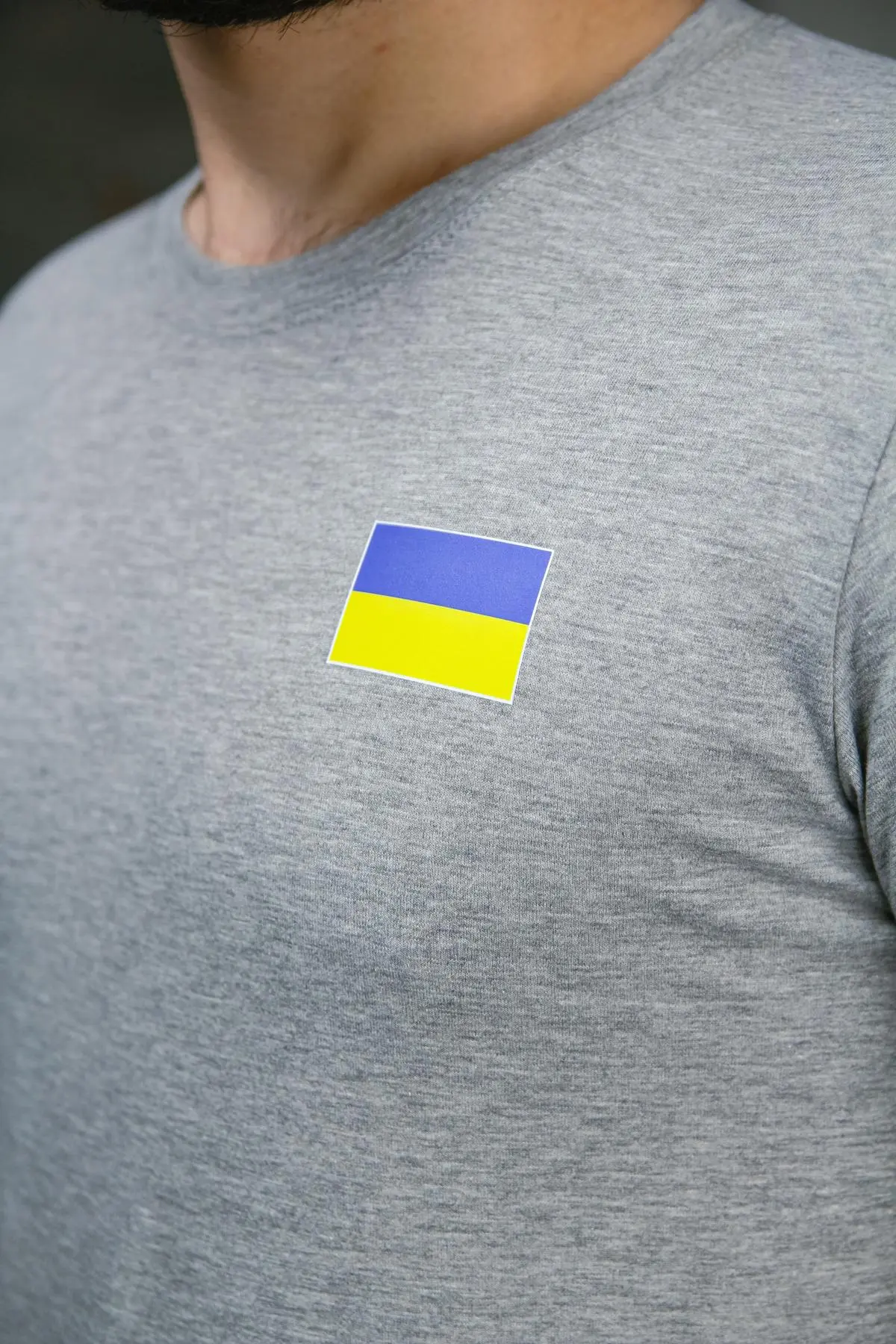 Футболка чоловіча з прапором на грудях Intruder сіра