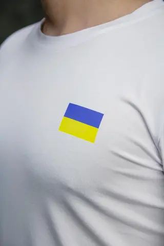 Футболка чоловіча з прапором на грудях Intruder біла