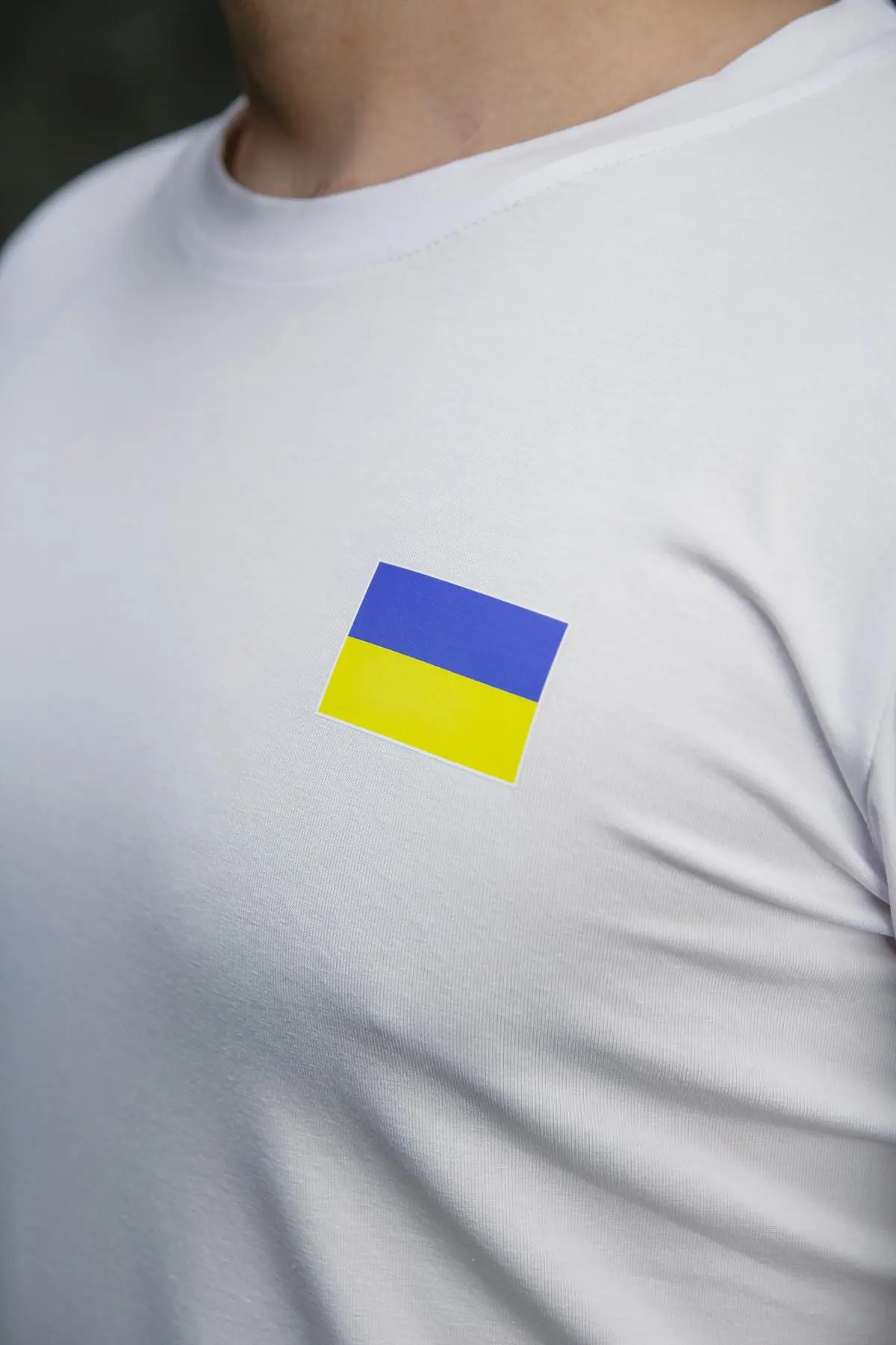 Футболка чоловіча з прапором на грудях Intruder біла