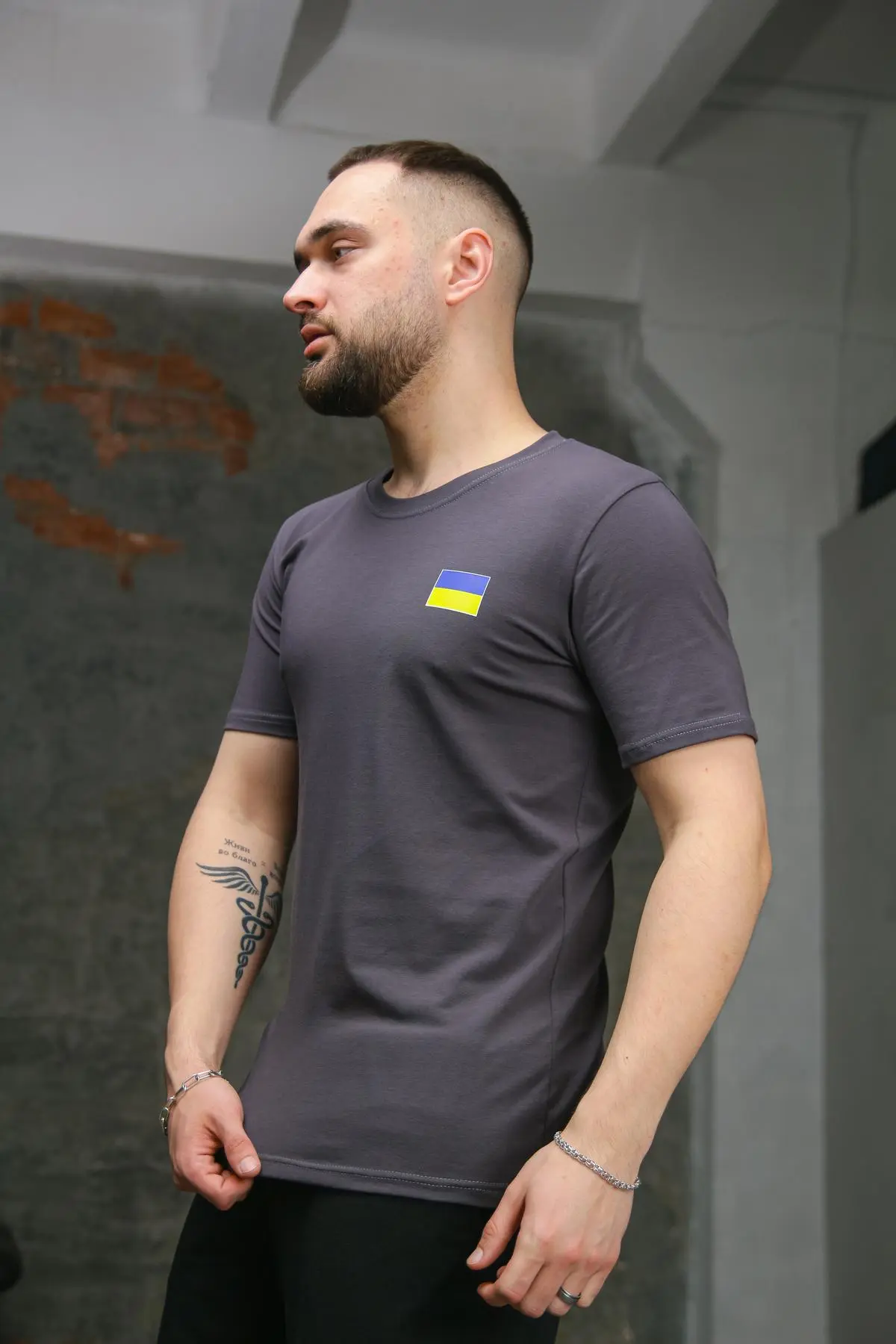 Футболка чоловіча з прапором на грудях Intruder темно-сіра