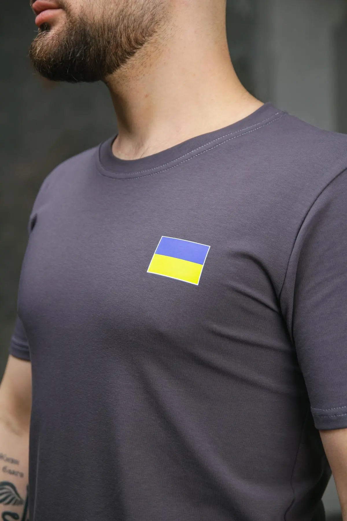 Футболка чоловіча з прапором на грудях Intruder темно-сіра