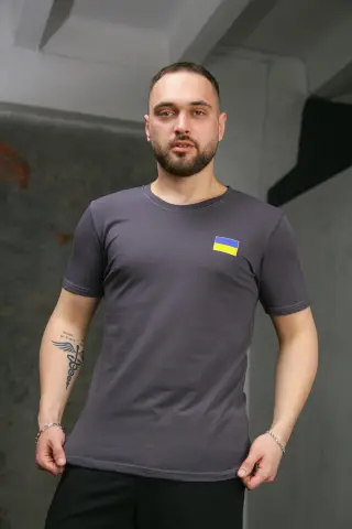 Футболка чоловіча з прапором на грудях Intruder темно-сіра