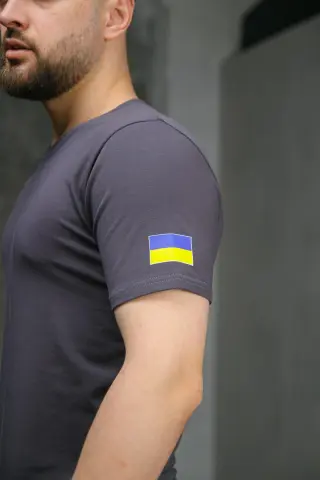 Футболка чоловіча з прапором на плечі Intruder темно-сіра