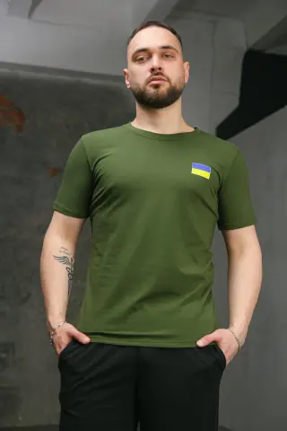 Футболка чоловіча з прапором на грудях Intruder хакі