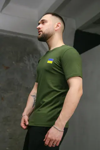 Футболка чоловіча з прапором на грудях Intruder хакі