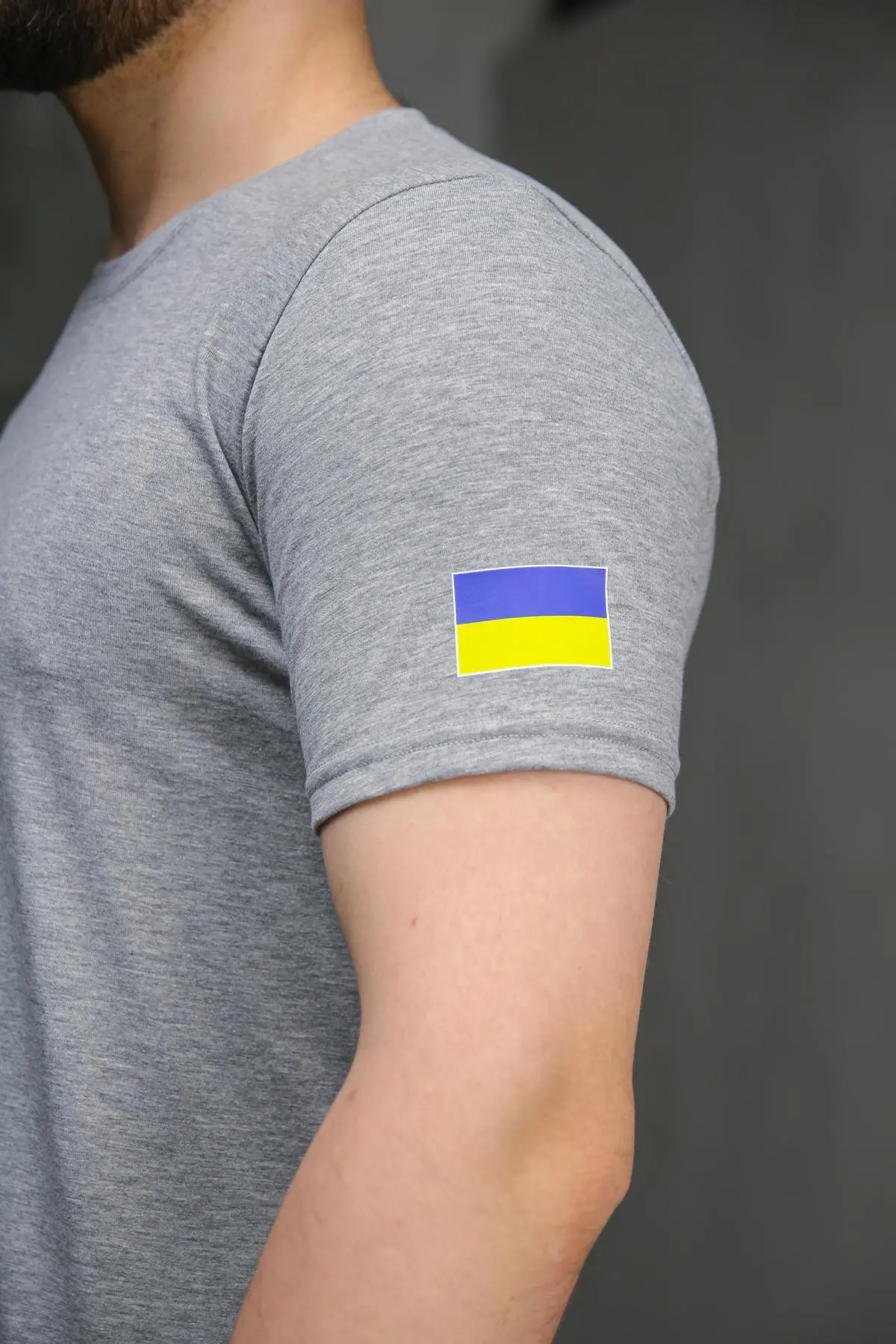 Футболка чоловіча з прапором на плечі Intruder сіра