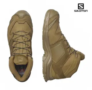 Черевики Salomon XA Forces MID GTX Coyote