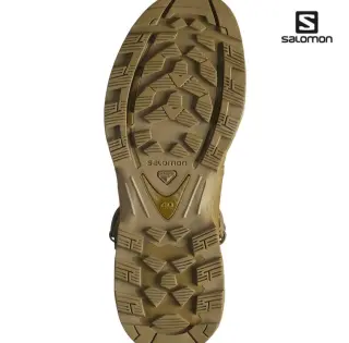 Черевики Salomon QUEST 4D Forces 2 High GTX Coyote