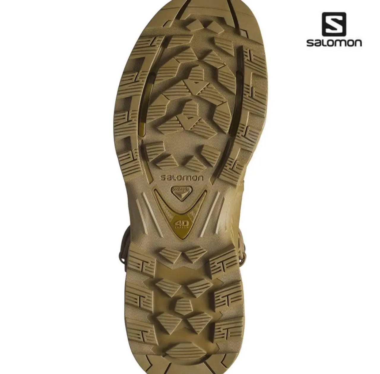 Черевики Salomon QUEST 4D Forces 2 High GTX Coyote