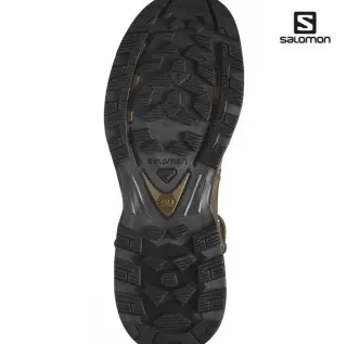 Черевики Salomon QUEST 4D Forces 2 High GTX Earth