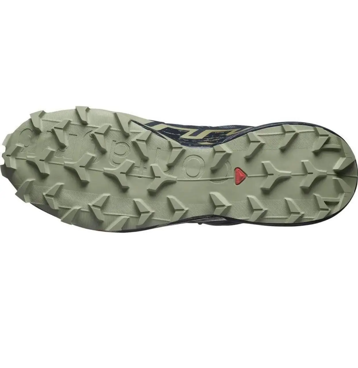 Кросівки Salomon outdoor SPEEDCROSS 6 GTX Grisai/Carbon/Tea