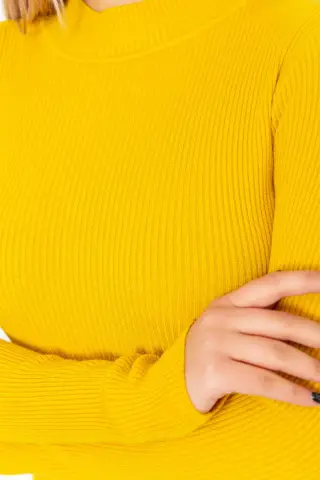Водолазка жіноча в рубчик, колір гірчичний, 204R9029