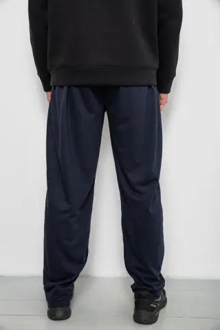 Спортивні штани чоловічі, колір синій, 244R41392