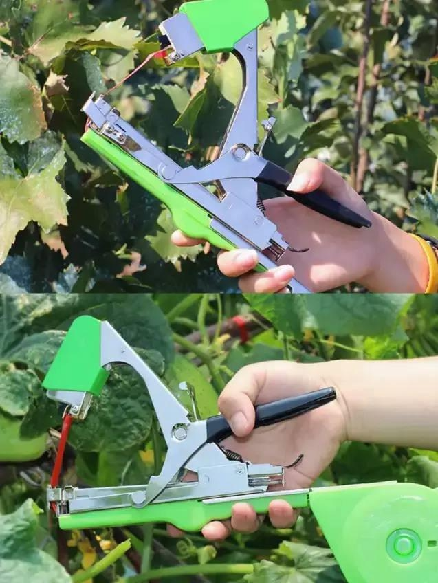 Set: Garden Stapler SUCA SC8105