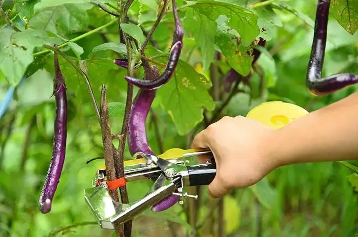 Set: Garden Stapler SUCA SC8105