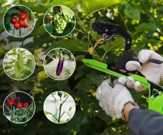 Тапенер степлер для підв’язки рослин SUCA SC8108 Pro версія