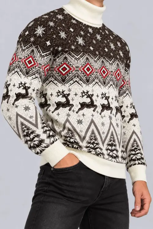 Men's New Year Sweater with High Neck, Beige, 214R24713