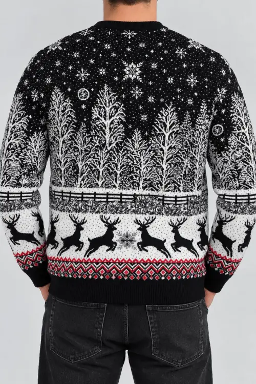 Men's Christmas Sweater, Black, 214R22605