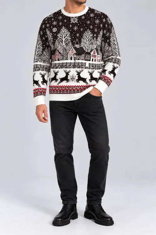 Men's Christmas Sweater, Brown, 214R22605