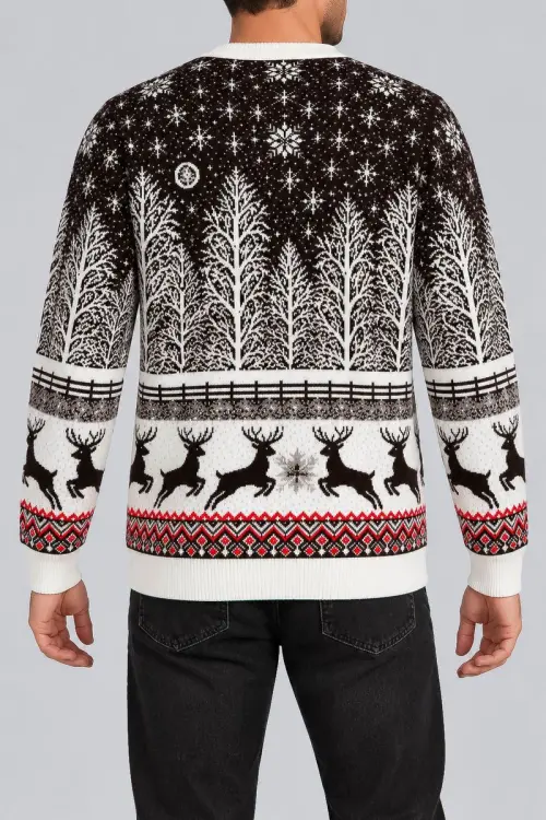 Men's Christmas Sweater, Brown, 214R22605