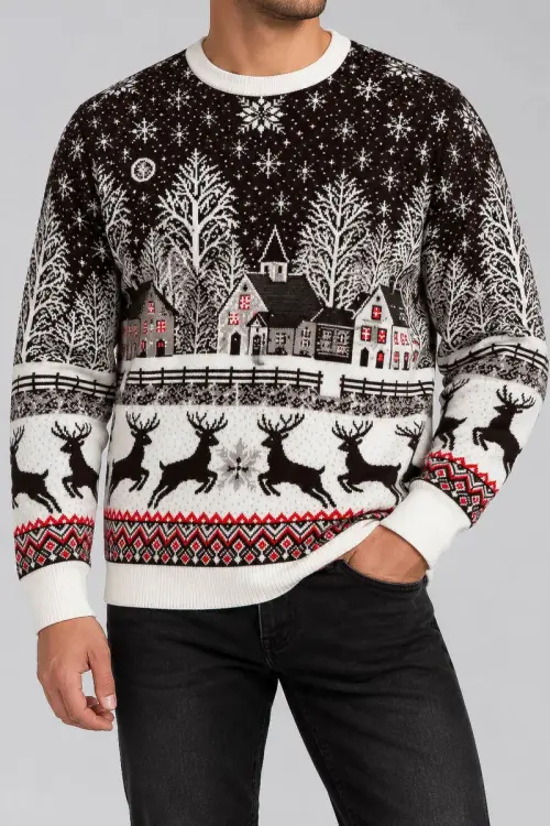 Men's Christmas Sweater, Brown, 214R22605