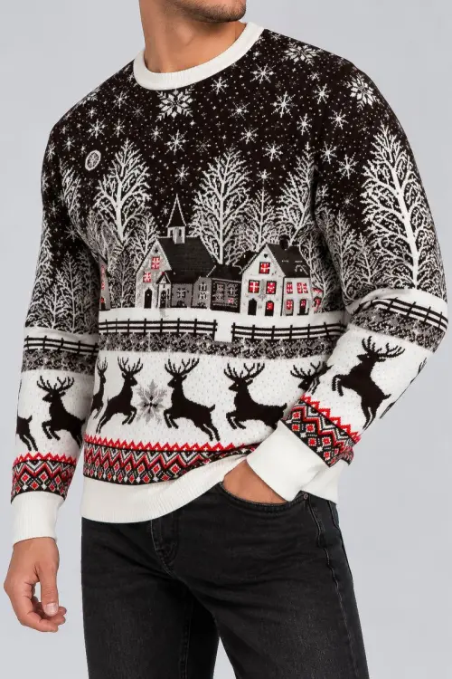 Men's Christmas Sweater, Brown, 214R22605
