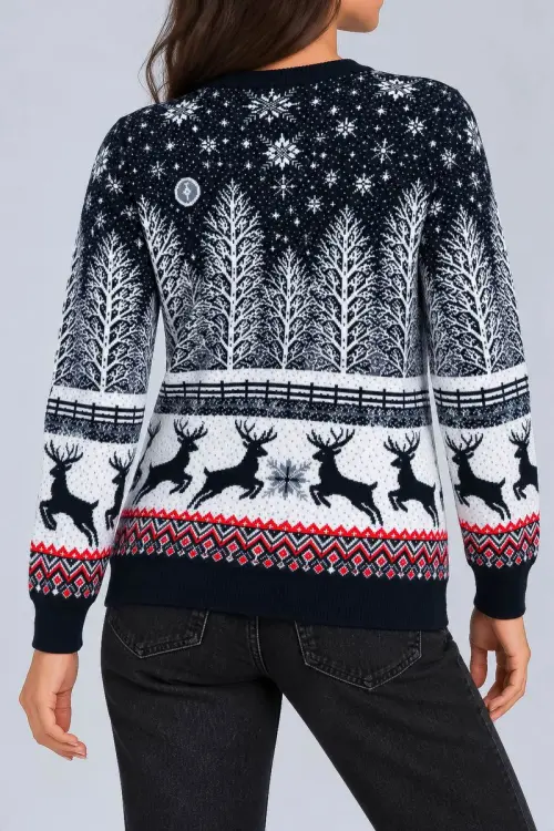Women's Christmas Sweater, Blue, 214R22605-5