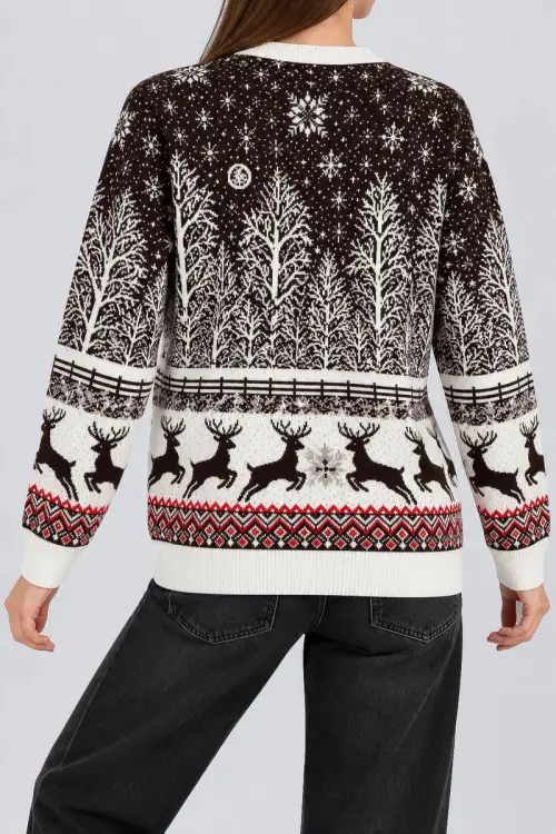 Women's Christmas Sweater, Brown Color, 214R22605-5