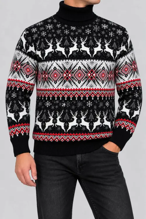 Men's Christmas Turtleneck Sweater, Black, 214R21305