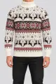 Men's New Year Sweater with Turtleneck, Cream Color, 214R21305 - Photo 1