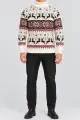 Men's New Year Sweater with Turtleneck, Cream Color, 214R21305 - Photo 2
