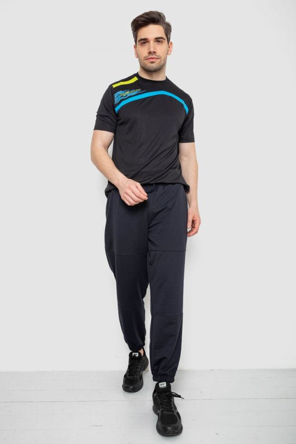 Спортивні штани чоловічі демісезонні, колір темно-синій, 241R001-1
