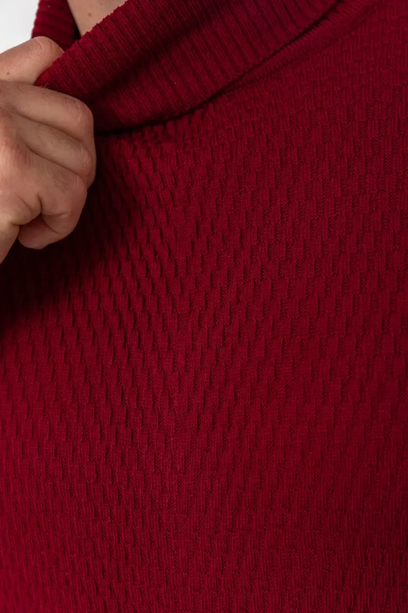 Гольф чоловічий, колір бордовий, 161R857