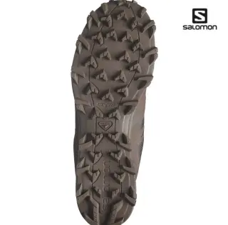 Кросівки Salomon Speed Assault 2 GTX Earth Brown