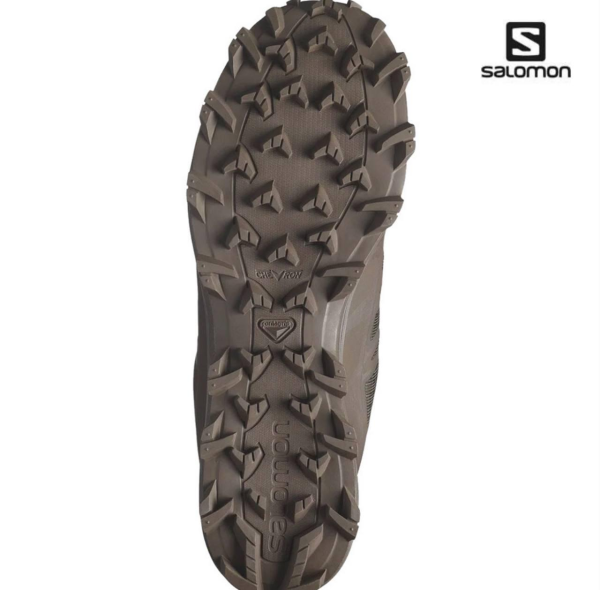 Кросівки Salomon Speed Assault 2 GTX Earth Brown