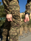 Військовий комплект Хижак 2 в 1 Штани + Убакс CollPass Military Мавка - Фото 19