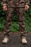 Утеплені Військові штани Soft Shell Military хижак - Фото 2